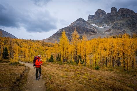Mount Assiniboine Provincial Park Ultimate Hike Guide