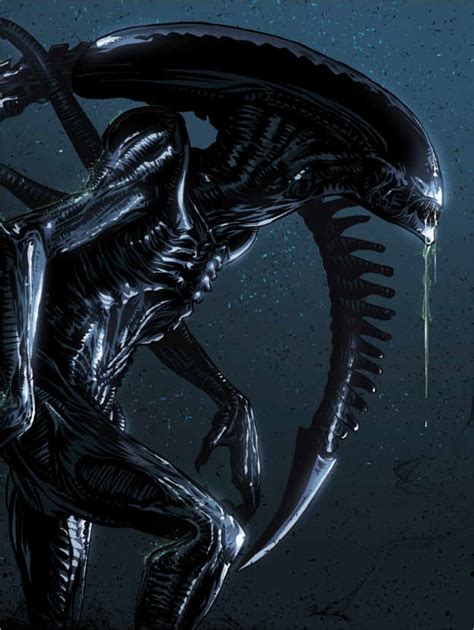 A highly aggressive extraterrestrial creature which stalks and kills. Alien Xenomorph Posters and Prints | Posterlounge.co.uk