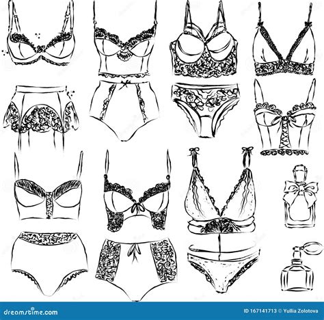 Types Of Bras The Complete Vector Collection Of Lingerie 158442233