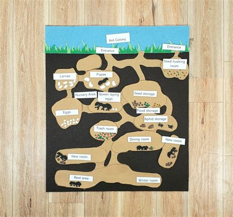 Learning And School Ant Colony Felt Board Set Wall Sized Felt Montessori