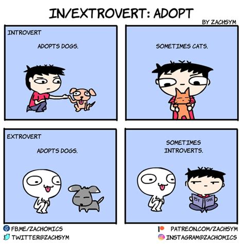 Adopt Don T Shop Look Out For Introverts Readily To Be Adopted Around