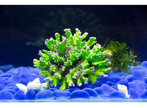 2021 New Resin Artificial Aquarium Coral Decoration Fish Tank Coral