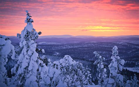 Wallpaper Finland Lapland Winter Snow Forest Sunset