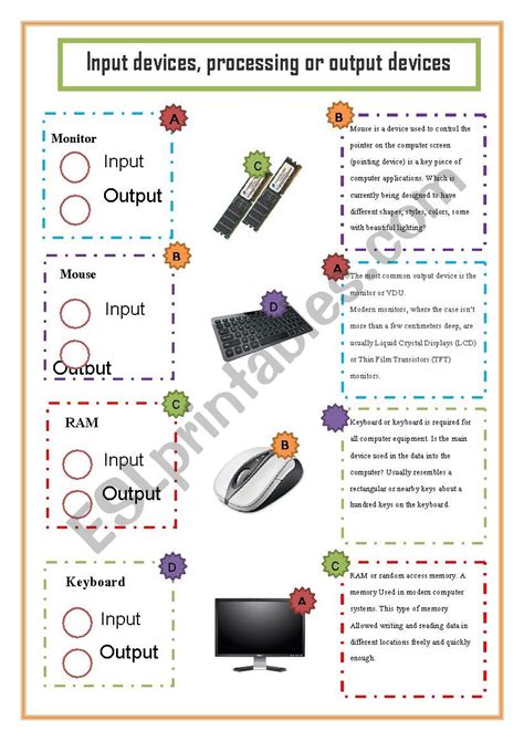 Input Output Devices English Esl Worksheets For Distance Learning And