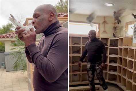 Watch Mike Tyson Kiss Pigeon And Send His Own Flock Of Beloved Birds