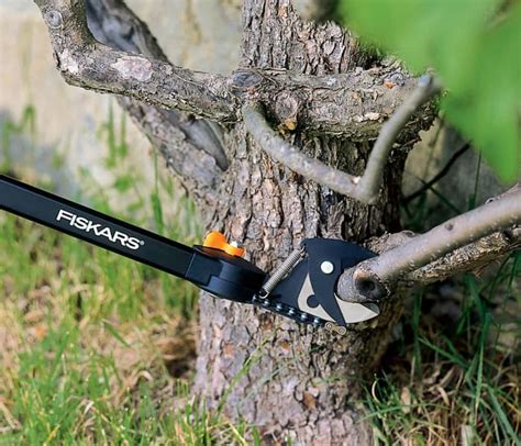 The 10 Best Manual Pole Pruners And Loppers For Tree Trimming 2022