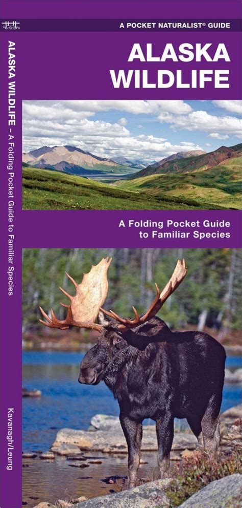 Alaska Wildlife A Folding Pocket Guide To Familiar Species Nhbs