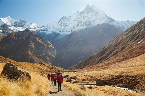 Annapurna Base Camp Trek Peregrine Travel Centre Wa And Summit Travel