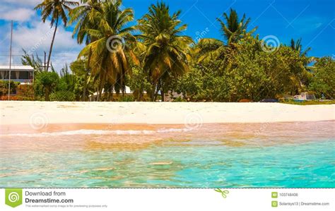 The Tropical Beach Barbados Caribbean Stock Photo Image Of Tranquil