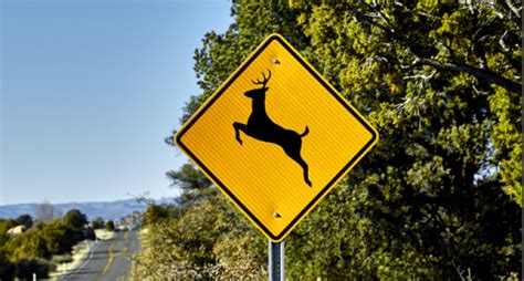 Please Move Deer Crossing Signs Off Interstates So They