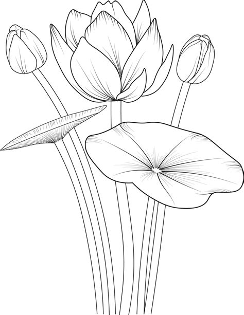 Easy Flower Coloring Pages Waterlily Flower Drawing For Kids