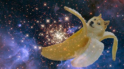 78 Doge Space Wallpapers On Wallpaperplay Cute Dog Wa
