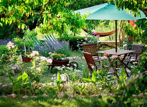 How To Turn Your Backyard Into An Oasis Betsi Hill Travel