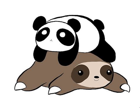 Sloth And Panda Poster By Saradaboru Redbubble