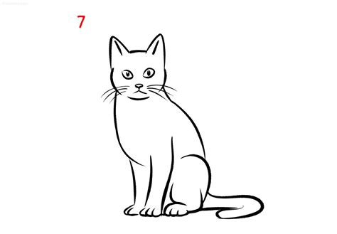 Easy Cat Drawing Ideas How To Draw A Cat Step By Step
