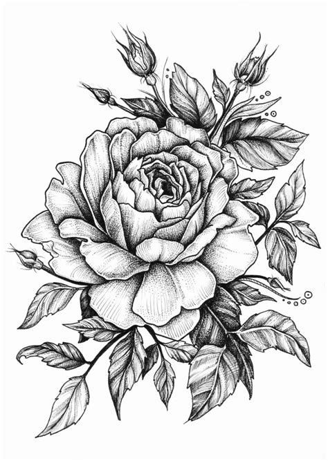 Disegno tattoo vecchia stile con una bussola e dei fiori. Disegni di fiori a matita, sfumature sulle foglie | Fiori disegnati a matita, Idee per tatuaggi ...