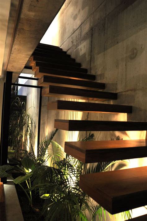 15 Beautiful Indoor Plants In Under The Stairs Homemydesign