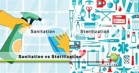 Difference Between Sanitation And Sterilization Biomadam