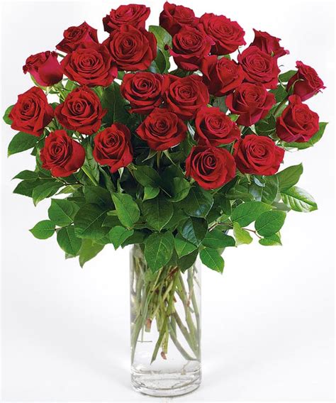 24 Red Roses Arranged In A Vase Florist Flowers Delivered Allens
