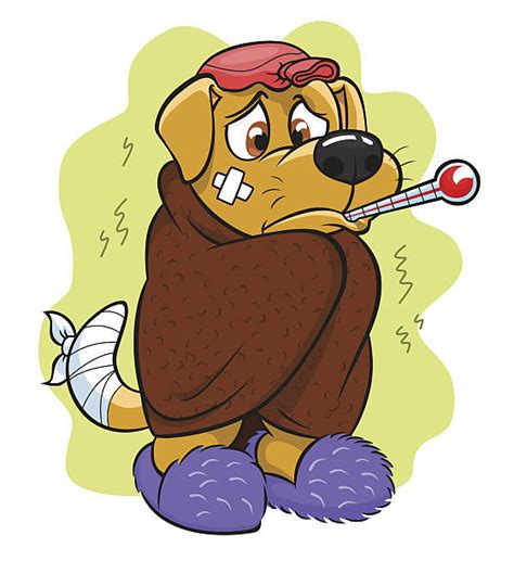 Cartoon Sick Dog With A Thermometer Illustrations Royalty Free Vector