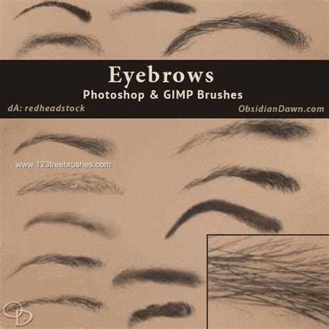 Eyebrows Download Brushes 123freebrushes
