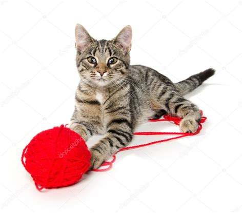 Cute Cat With Red Ball Of Yarn — Stock Photo © Eeitony
