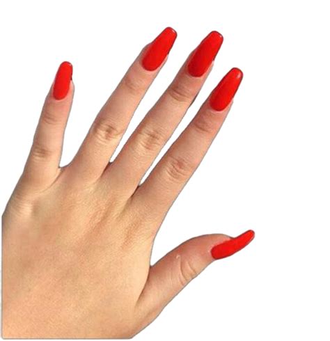 Nail Png Images Transparent Background Png Play