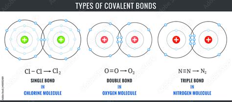 three types of covalent bonds including single double and triple bonds stock vector adobe stock