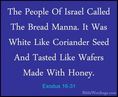 Exodus 16 Holy Bible English