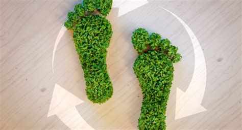 Simple Ways To Reduce Your Carbon Footprint Small Changes Big Impact
