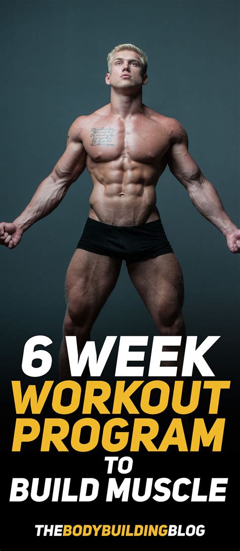 6 Week Workout Program To Build Muscle With Pdf In 2020 Workout