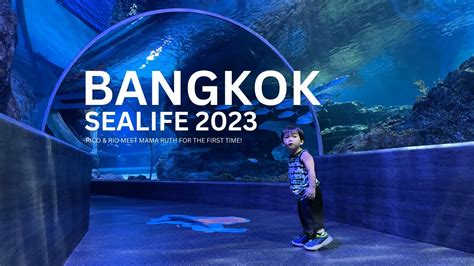 Bangkok Sea Life And Night Life Youtube