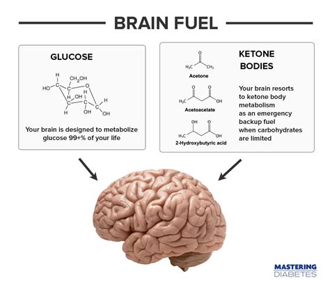 However, these are also symptoms of hypoglycemia for which synthetic glucagon may be used. What are Ketones: Your Brain's Best Friend or Worst Enemy?