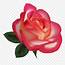 Download Beautiful Rose Clip Art Clipart Free  Realistic