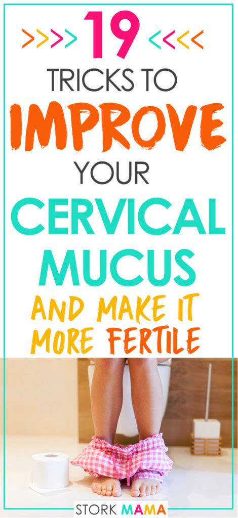 19 Tricks To Improve Your Egg White Cervical Mucus Stork