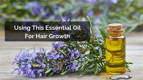 So one is for the scalp and the other is for your hair strands. Can You Use Rosemary Oil For Hair Growth?