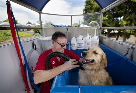 Pet care services, pet groomers, pet services. Woof & wash: Hilo man offers mobile dog grooming - Hawaii ...