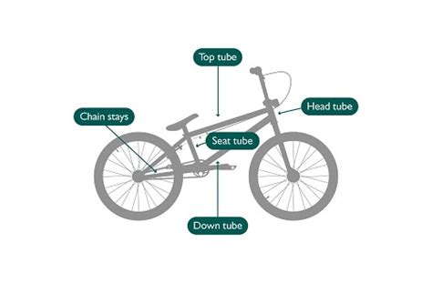 Bmx Bike Sizing Guide Evans Cycles