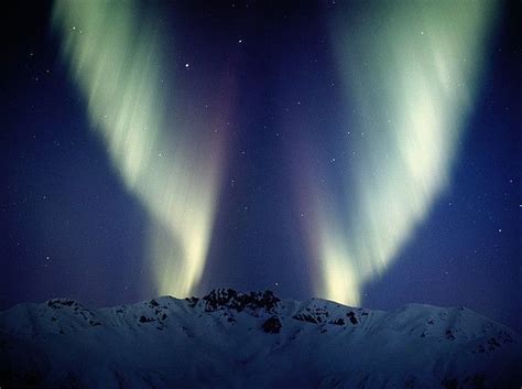 Aurora Borealis Northern Lights Over Alaska Mountains Denali