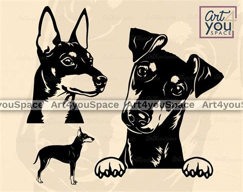 Manchester Terrier Svg Png Dxf Cricut Clipart Download Vector Prin