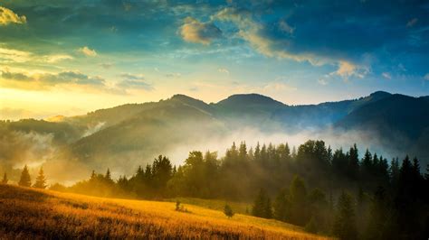 Ukraine Carpathians Forest Mountains Fog Clouds Sun Morning