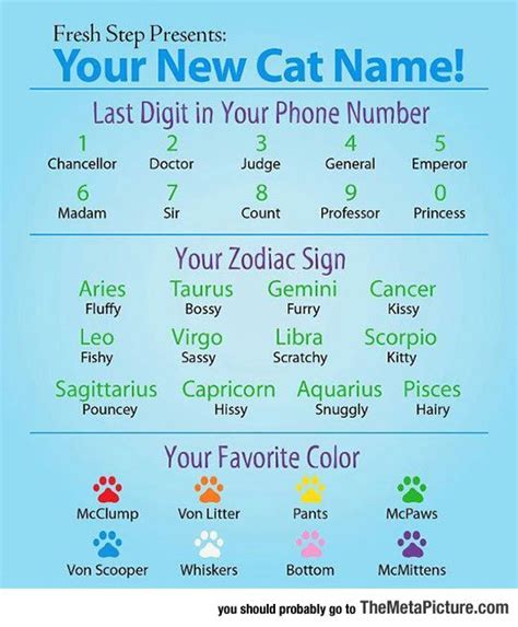 Heres Your New Cat Name Just For Laughs Cat Names Names
