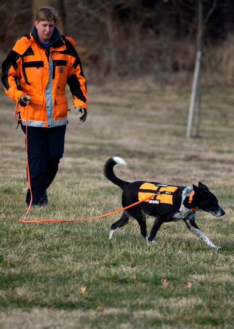 Southern Ohio Canine Search And Rescue Team Helps Find Missing Persons