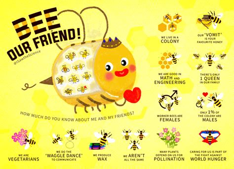 Bee Our Friend 12 Fun Facts About Bees Isawthescience