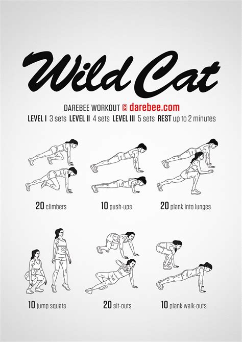 Wild Cat Workout Cat Workout Workout Darebee