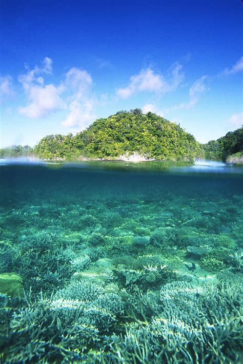 Palau Lagoon Photograph By F Stuart Westmorland Pixels