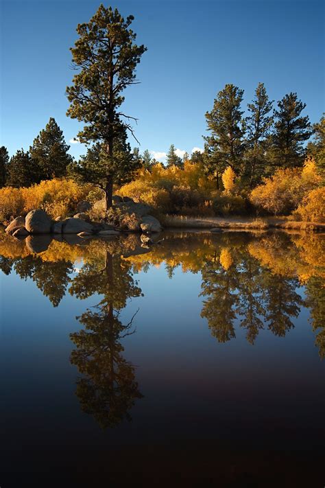 Autumn Reflection On Parvin Lake Red Feather Lakes Colorado By