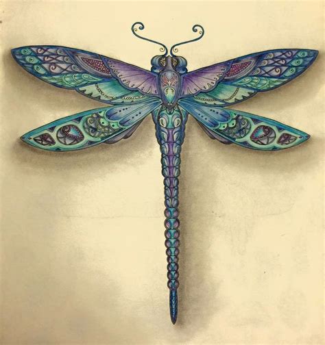 71 Best Dragonfly Art Images On Pinterest Dragon Flies Dragonflies