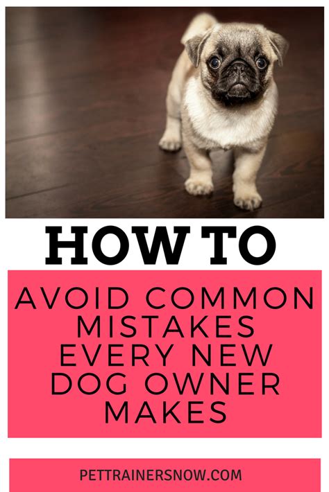 How To Avoid The Common Mistakes Of New Dog Owners Pet Training And
