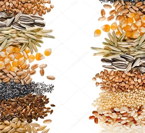 Cereal Grains And Seeds — Stock Photo © Madllen 14091592